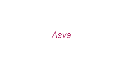 Логотип компании Asva