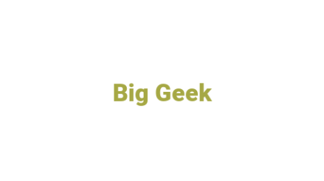 Логотип компании Big Geek