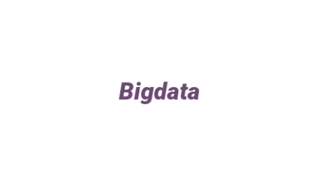 Логотип компании Bigdata