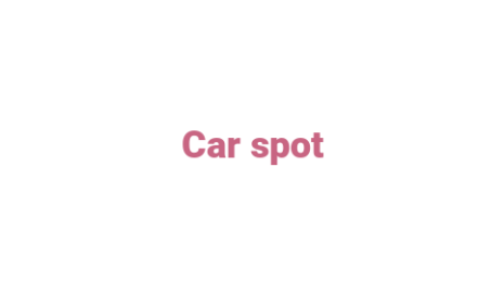 Логотип компании Car spot