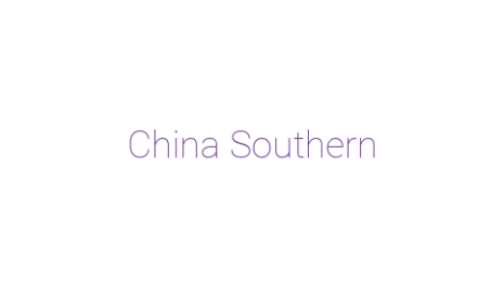 Логотип компании China Southern