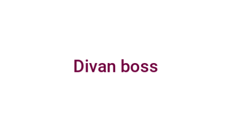 Логотип компании Divan boss