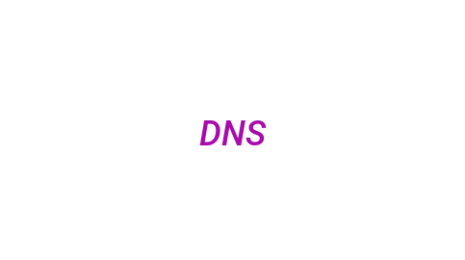 Логотип компании DNS