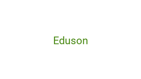 Логотип компании Eduson