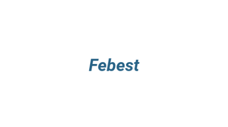 Логотип компании Febest