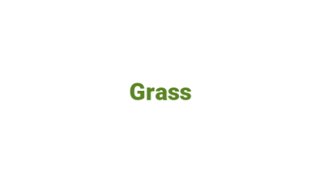 Логотип компании Grass