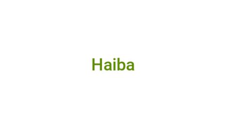 Логотип компании Haiba