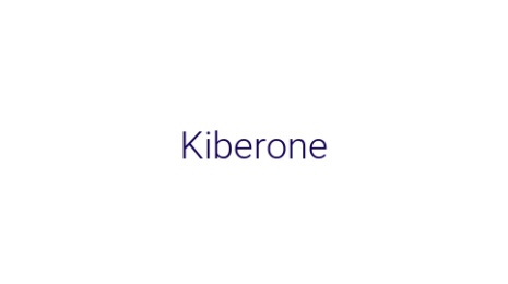 Логотип компании Kiberone