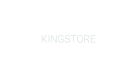 Логотип компании KINGSTORE