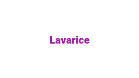 Логотип компании Lavarice