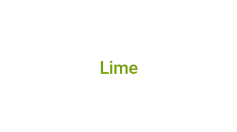 Логотип компании Lime