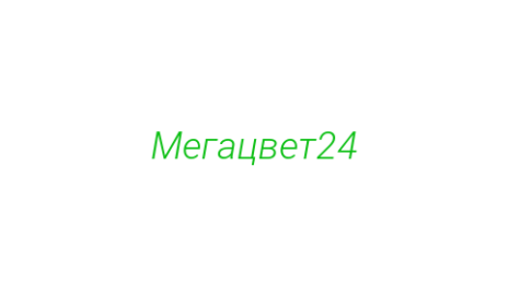 Логотип компании Мегацвет24