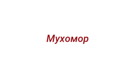 Логотип компании Мухомор