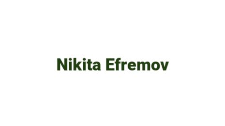 Логотип компании Nikita Efremov