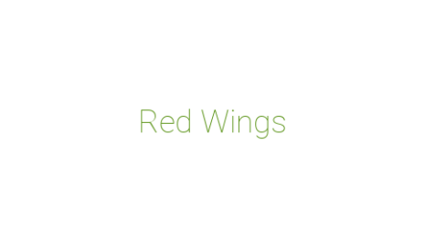 Логотип компании Red Wings