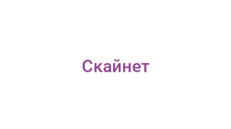 Логотип компании Скайнет