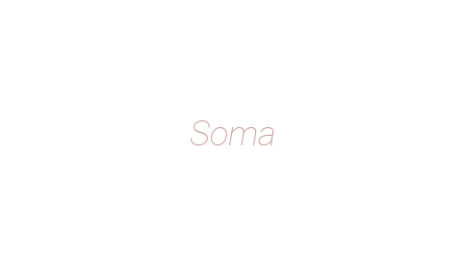 Логотип компании Soma