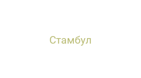 Логотип компании Стамбул