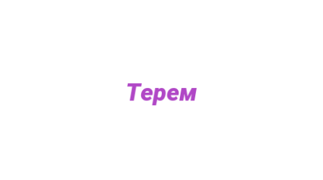 Логотип компании Терем