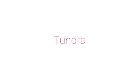 Логотип компании Tundra