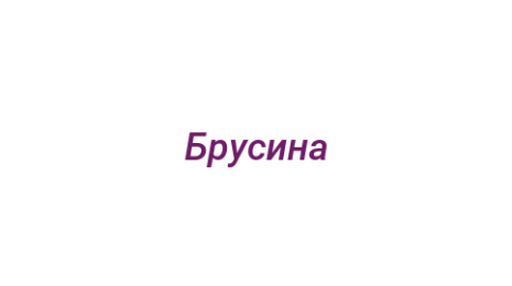 Логотип компании Брусина