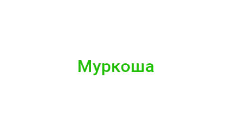 Логотип компании Муркоша