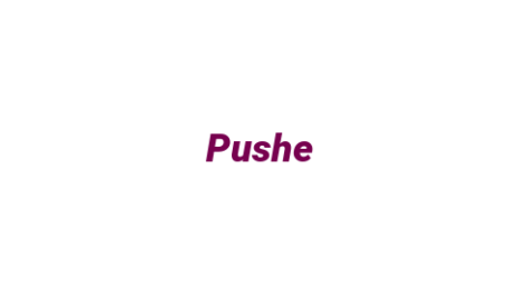 Логотип компании Pushe