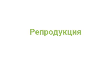 Логотип компании Репродукция