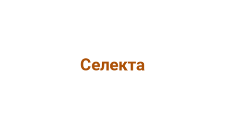 Логотип компании Селекта