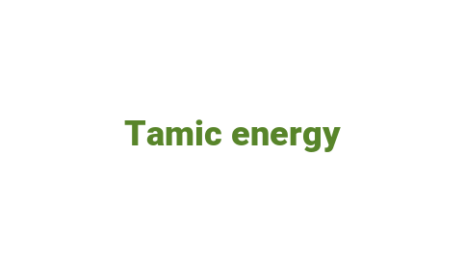 Логотип компании Tamic energy