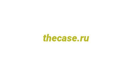 Логотип компании thecase.ru