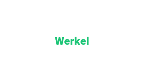 Логотип компании Werkel